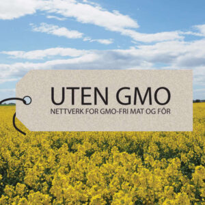 Uten GMO