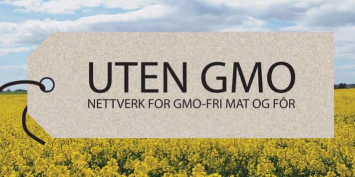 Uten GMO