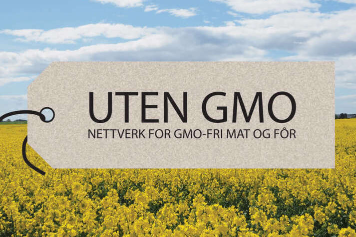 Uten GMO