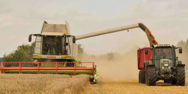 © Michael Gäbler / Wikimedia Commons / CC BY-SA 3.0