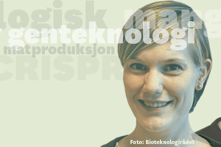 Grafikk: Nettverk for Gmo-fri mat og fôr