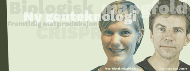 Grafikk: Nettverk for Gmo-fri mat og fôr Grafikk: Nettverk for Gmo-fri mat og fôr