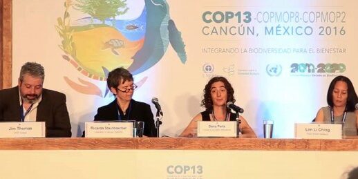 Pressekonferanse med Friends of the Earth i Cancun