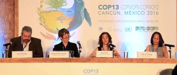 Pressekonferanse med Friends of the Earth i Cancun Pressekonferanse med Friends of the Earth i Cancun