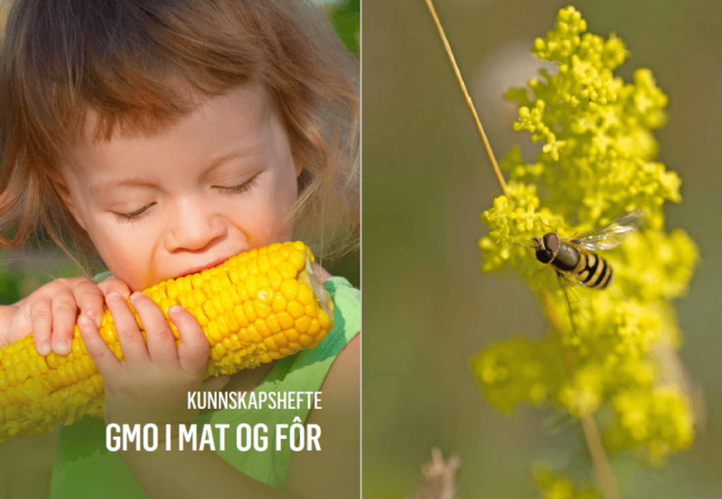 Kunnskapshefte om GMO