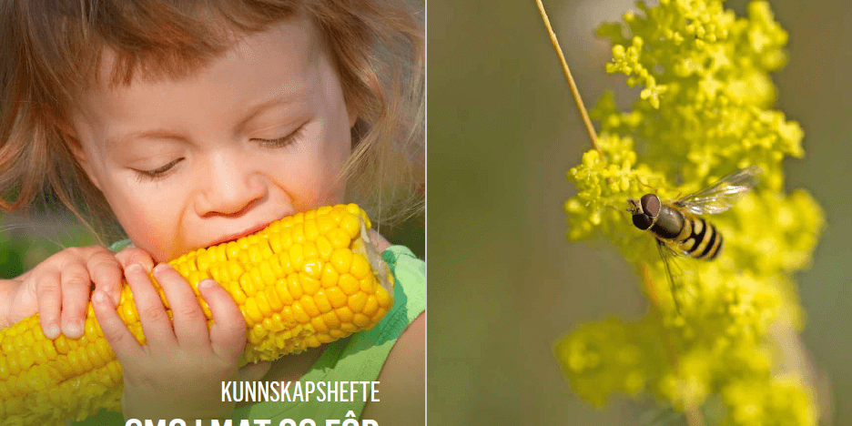 Kunnskapshefte om GMO