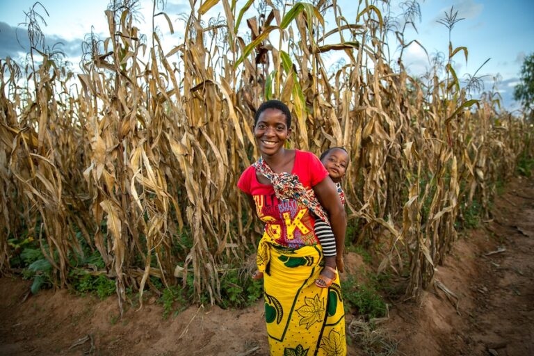 Kvinnelig bonde Malawi