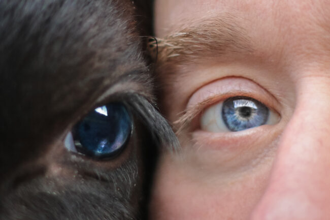 Øyne. Foto Frida Årseth