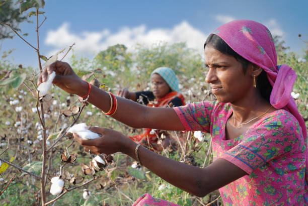 Hyderabad, India – March 02, 2017: Happy & educated farmers of India