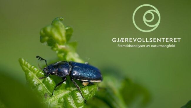 1711441768178 gjærevollsenteret